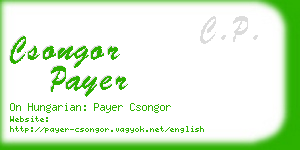 csongor payer business card